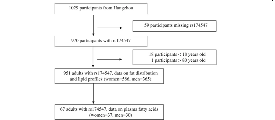 Fig. 1 Participant selection and follow-up flowchart