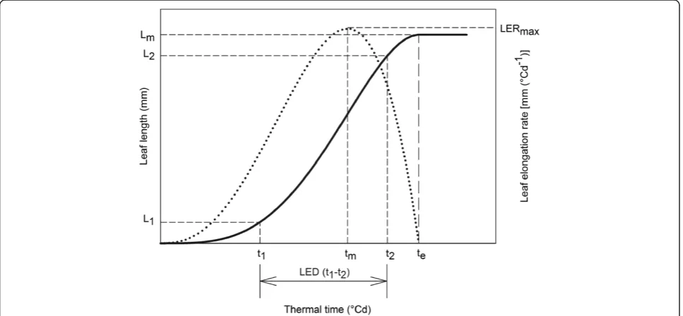 Table 1 Effect of GA20ox1 overexpression on maize leaf elongation