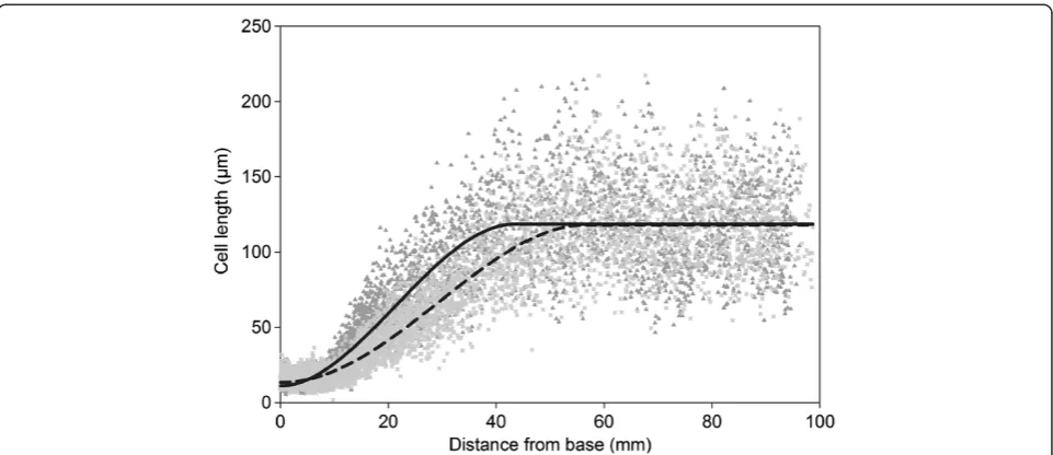 Figure 4 Effect of GA20ox1 overexpression on the cell length profile of the 4th leaf in maize