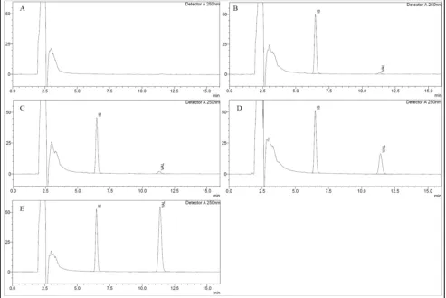 TABLE 4: PRECISION AND ACCURACY RESULTS OF PROPOSED METHOD (n=6)