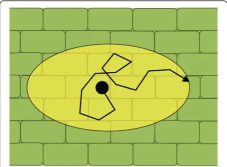 Figure 1 Anisotropic water diffusion due to diffusive restriction(two dimensional representation)