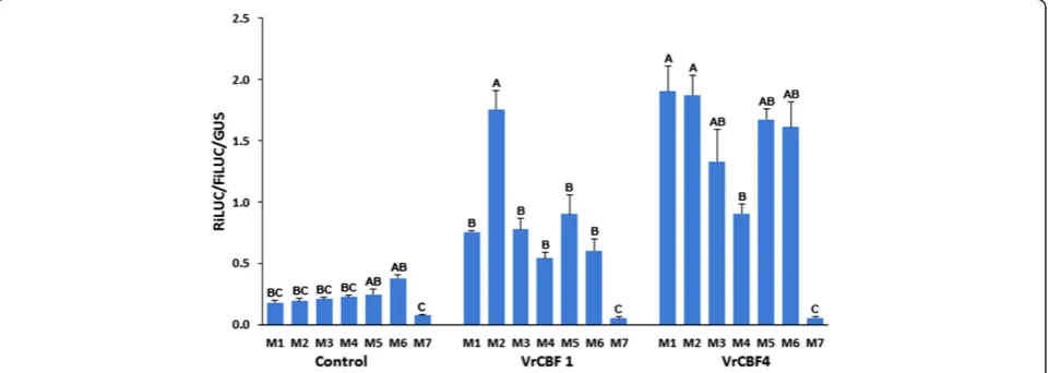 Figure 5). An empty control effector plasmid was included