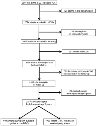 FIGURE 1The study group. MPC of the Kaufman Assessment Battery for Children was used for analysis