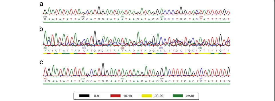 Figure 1 Comparison of PCR- Products utilizing extracted DNA and direct culture as template.replicates (Repl.) using the primers TAReuk454FWD1 and TAReukREV3 [36]