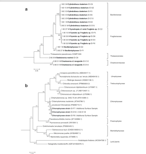 Figure 3 Maximum-likelihood (ML) trees built from the alignments of V4 18S rDNA sequences