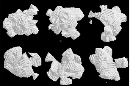 Fig. 2. Examples of agglomerated debris particles.