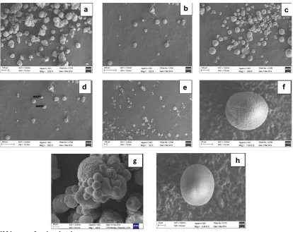 Fig. 7: SEM images of various batches.a. batch 3; b. batch 2; c. batch 16; d. batch 10; e