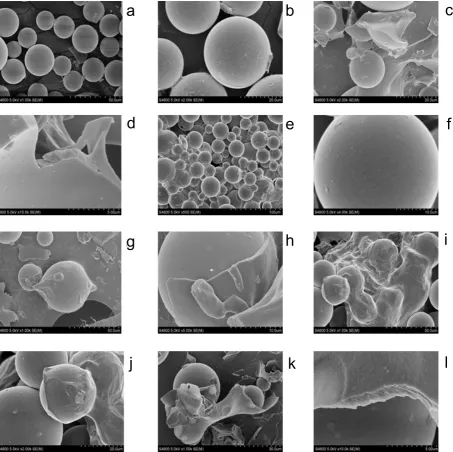 Fig. 2: Scanning electron microscopy pictures of the glass beads encapsulated with different wall materials
