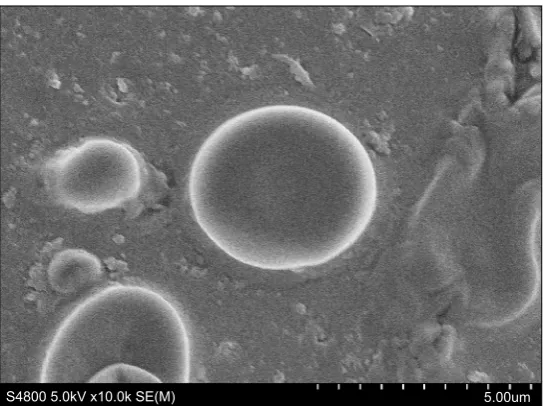 Fig. 4: Scanning electronic microscopy picture of octyl methoxycinnamate loaded microcapsules.