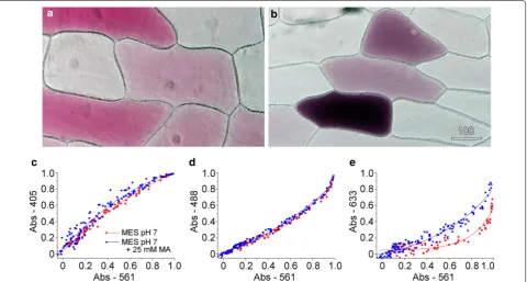 Fig. 6 Transmitted light imaging quantified changes in vacuolar pH. Red onion epidermal cells were incubated on 40 mM MES at pH 7, or on this ance measured at 561 nm
