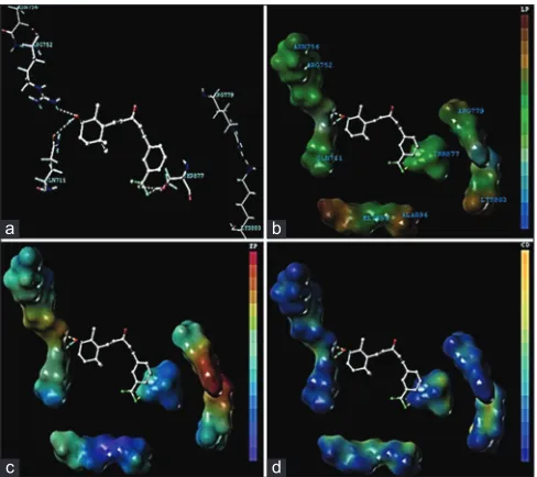 Fig. 7: Binding conformations of the compound 25 with receptor.Binding conformations of the compound 25 (a) at the inhibitor binding site of androgen receptor (PDB code 1T65), (b) more insight of docking analysis by a MOLCAD lipophilic potential binding, (c) electrostatic potential and (d) cavity depth.