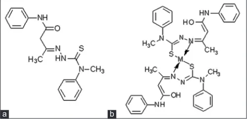 Fig. 1: Structures of acetoacetanilide N(4)-methyl(phenyl)thiosemicarbazone and its complexes.Structure of (a) acetoacetanilide N(4)-methyl(phenyl)thiosemicarbazone and (b) structure of metal complex of acetoacetanilide N(4)-methyl(phenyl)thiosemicarbazone.