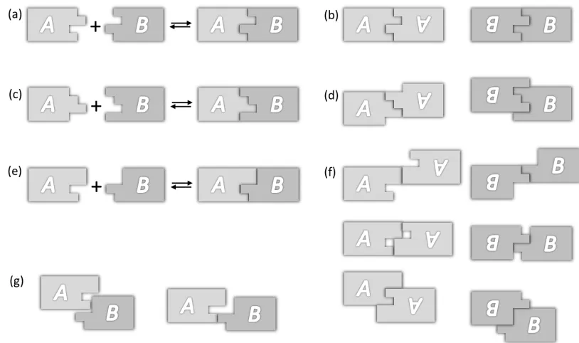 Figure II-9. Examples of shape sequences and their partial bonds. (a) A 4-patch shape sequence could form a 4-patch bond between distinct origami, but because it is fully self-complementary (b) it also allows full-strength undesired bonds