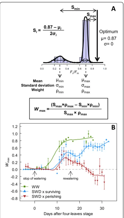 Figure 5 Dynamics of the spatial efficiency of aphotosynthetically heterogeneous plant (Wmax)