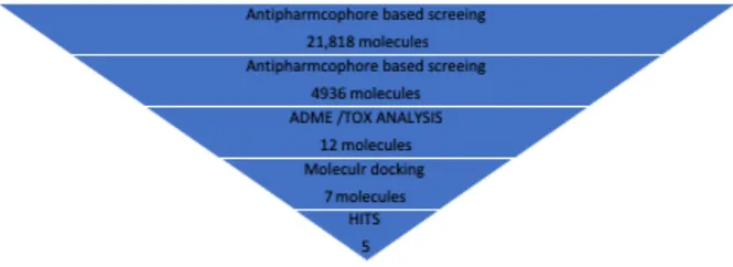 Figure 1: Pharmacophores used for the identification of (A) PPAR-gamma full agonists and (B) PPARγ partial agonists