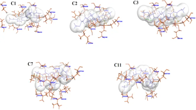 Figure 5: Hydrogen bond interactions of the test compounds with LBD of PPARγ (PDB ID: 3FUR) 