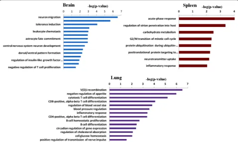 Table 3 Differentially expressed genes in the brain of HFD-fed mice (Continued)