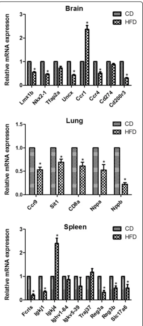 Fig. 4 Confirmation of differential gene expression via qRT-PCR analysis(CD, control diet; HFD, high fat diet; *P < 0.05 vs