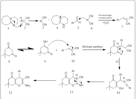 Figure 1: Plausible Tentative mechanism  