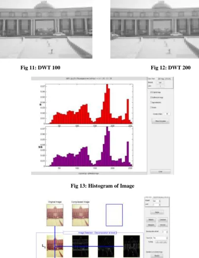 Fig 11: DWT 100                                                                   Fig 12: DWT 200 