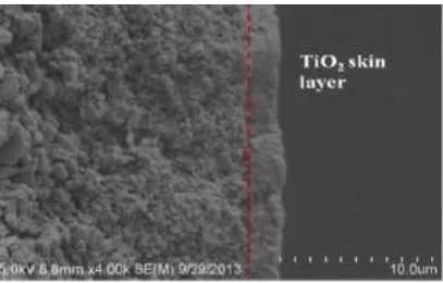 Fig. 4: N2 adsorption-desorption isotherm for TiO2 with different concentration of P25 at 400oC [6]