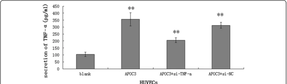 Fig. 1 Effects of APOC3 on the secretion of TNF-(10024 h; APOC3 + siNC: HUVECs that were transfected with blank siRNA before they were incubated with APOC3 (100the mean ± SE of 3 independent experiments