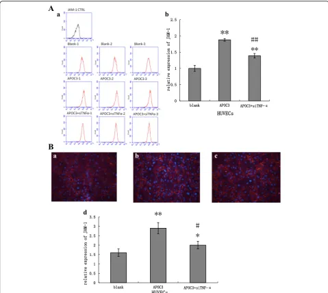 Fig. 4 The expression of JAM-1 in HUVECs in protein level.incubated with APOC3 (100for 24 h;24 h; APOC3 + siTNF-different from untreated HUVECs; #represents the mean ± SE of 3 independent experiments