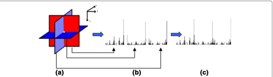 Figure 1 LBP from three orthogonal planes. (a) Three planes intersecting one pixel. (b) LBP histogram of each plane
