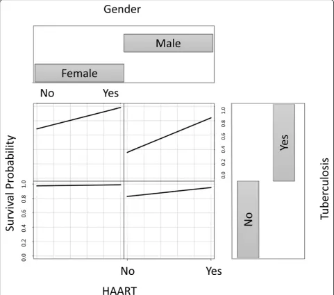 Fig. 5 MSRIST estimated three-year survival of the AIDS-progressed patients for progression from AIDS to death as a function of TB, HAART andgender