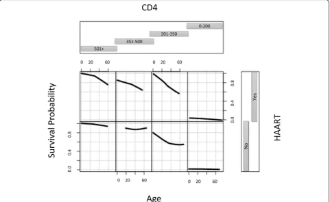 Fig. 4 MSRIST estimated three-year survival of the HIV-infected patients for progression to AIDS as a function of HAART, age and baseline CD4count