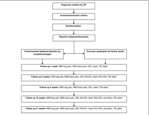 Fig. 1 Flow diagram of TEIAS study procedures