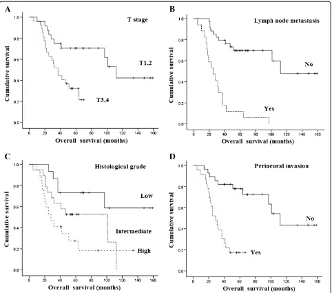 Figure 2 Overall survival. (A) Overall survival according to T stage. (B) Overall survival according to lymph node metastases