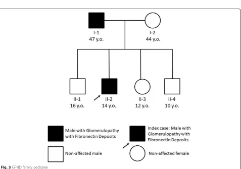 Fig. 2 Superimposition between the native (white) and mutated (bronze) FN3 domain models