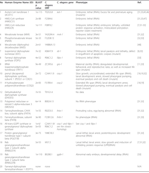 Table 1 Enzymes of the mevalonate pathway and their mutant or RNAi phenotypes in C. elegans