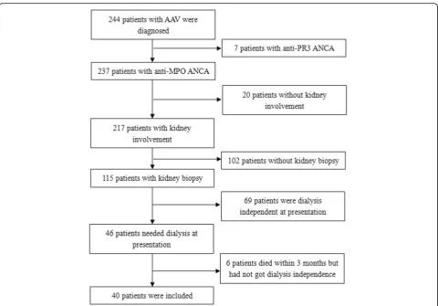 Fig. 1 Patients selection flowchart. A total of 244 patients with AAV were diagnosed. Only 7 patients were PR3-ANCA positive and were excluded.Among 237 patients with MPO-ANCA, 217 patients had kidney injury, but 102 patients did not receive kidney biopsy