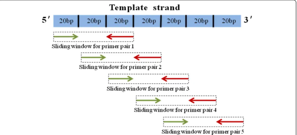 Fig. 5 e-PCR primer design based on sliding window. The green arrow lines were the forward primers and the red arrow lines were the reverse primers