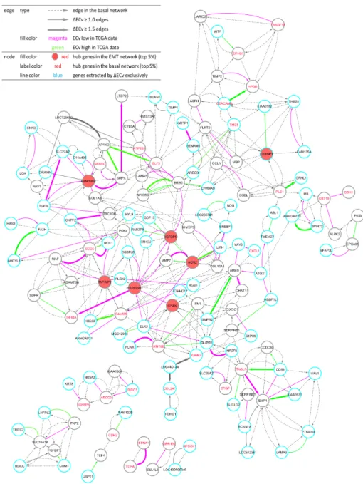 Figure 4. Visualization of the EMT network. One hundred and fifty nodes and 411 edges constitute the network
