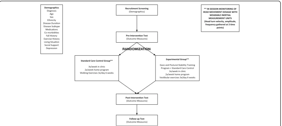 Fig. 1 Study flowchart demonstrating the study procedures from screening through study completion