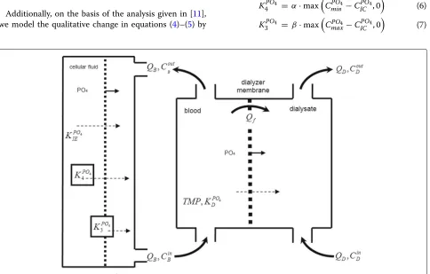 Fig. 1 II-compartment kinetic model of toxins and substances