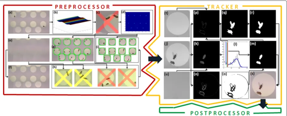 Figure 2 Schematic overview of Postprocessor and AnnotationTool.of orientation angle and distance; and Postprocessor (green shape): (a) distHeadTail, distance between flies Headand other flies Tail; (b) nArea and nwArea, size of body area respective wing a