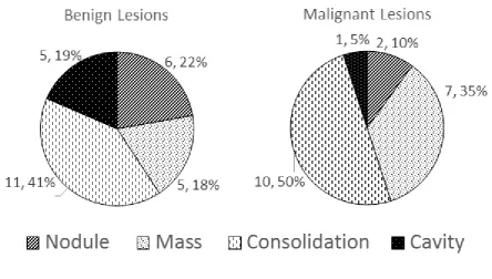 Figure 11: Pie charts demonstrating the distribution of type of lesion in benign versus malignant lesions  