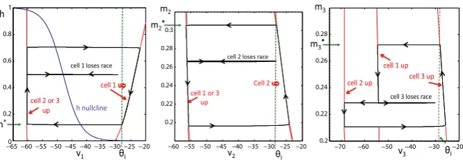 Fig. 2 The projections of the solution shown in Figure 1 onto the phase planes corresponding to the threecells