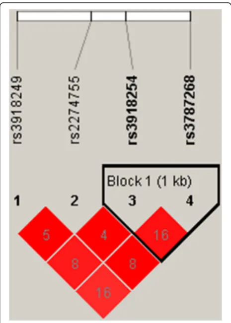 Fig. 1 Haplotype block map for the four MMP-9 single nucleotidepolymorphisms explored in our study