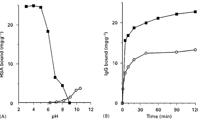 Figure 2Triazine coupling. (A) Coupling of human serum albumin (HSA) to ready-acitivated supports as a funciton of pH