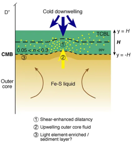 Fig. 1. Diagram showing the simpliﬁed geometry of a thermal and chem-ical boundary layer (TCBL) of thickness H undergoing loading bydownwelling dense material (blue arrows), inspired by Kellogg et al.(1999), and Karato (1998)