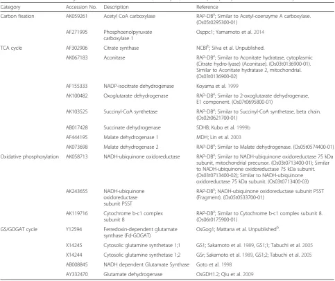 Table 3 Information on the genes related to carbon fixation, TCA cycle, oxidative phosphorylation and GS/GOGAT cycle