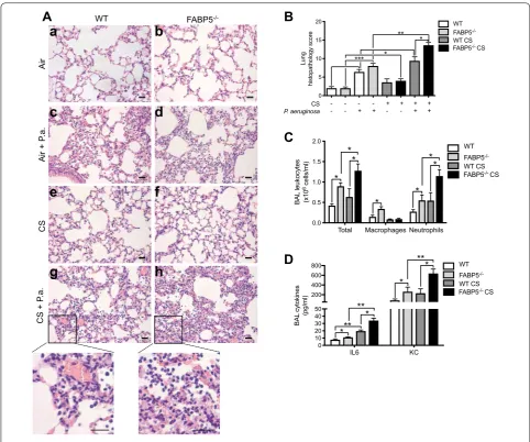 Fig. 3 FABP5‑deficiency increases CS‑ and exposed to filtered air or CS 16 h post infection
