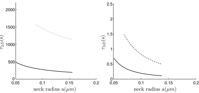 Fig. 4 Left: The NET of Brownian motion on a sphere with a bottleneck connected by a smooth funnel tothe neck (dashed line), and with a non-smooth connection (continuous line)