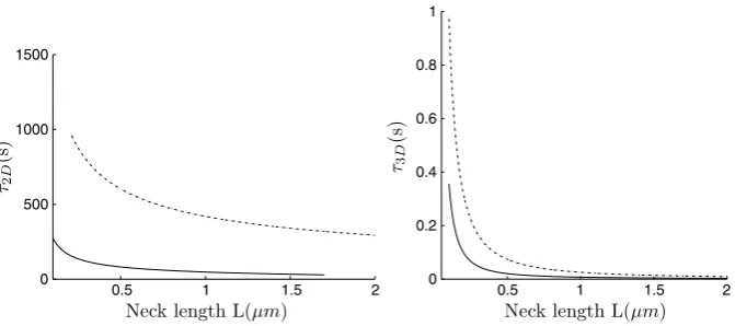 Fig. 5 Effect of modulating the neck length. The geometry is the same as in Figure 4.