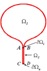 Fig. 2 The composite domainconsists of a head �1 connectedby an interface ∂�i to narrowneck �2
